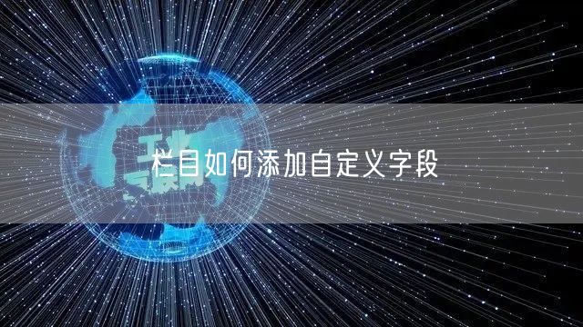 栏目如何添加自定义字段